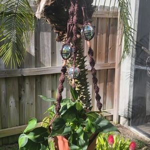 Macrame Retro Disco Ball Plant Hanger.